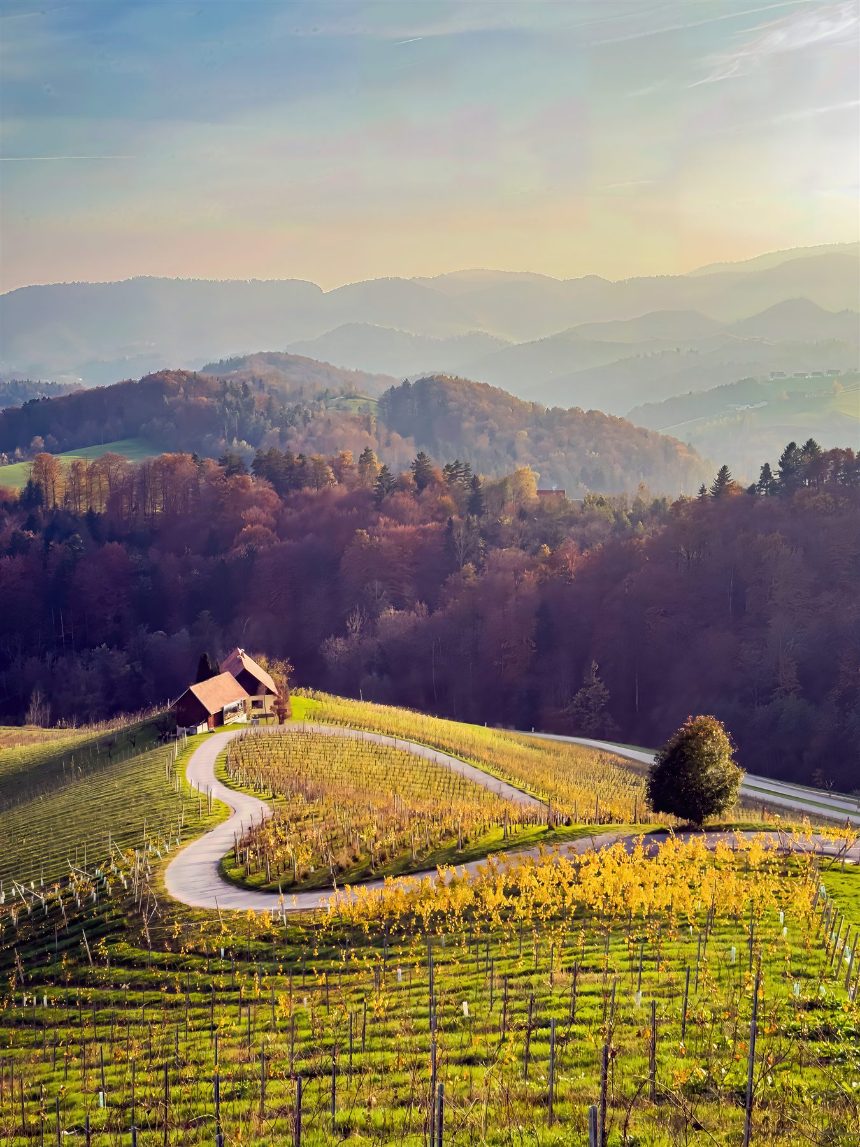 Die herzförmige Herzerlstraße zwischen südsteirischen Weinbergen